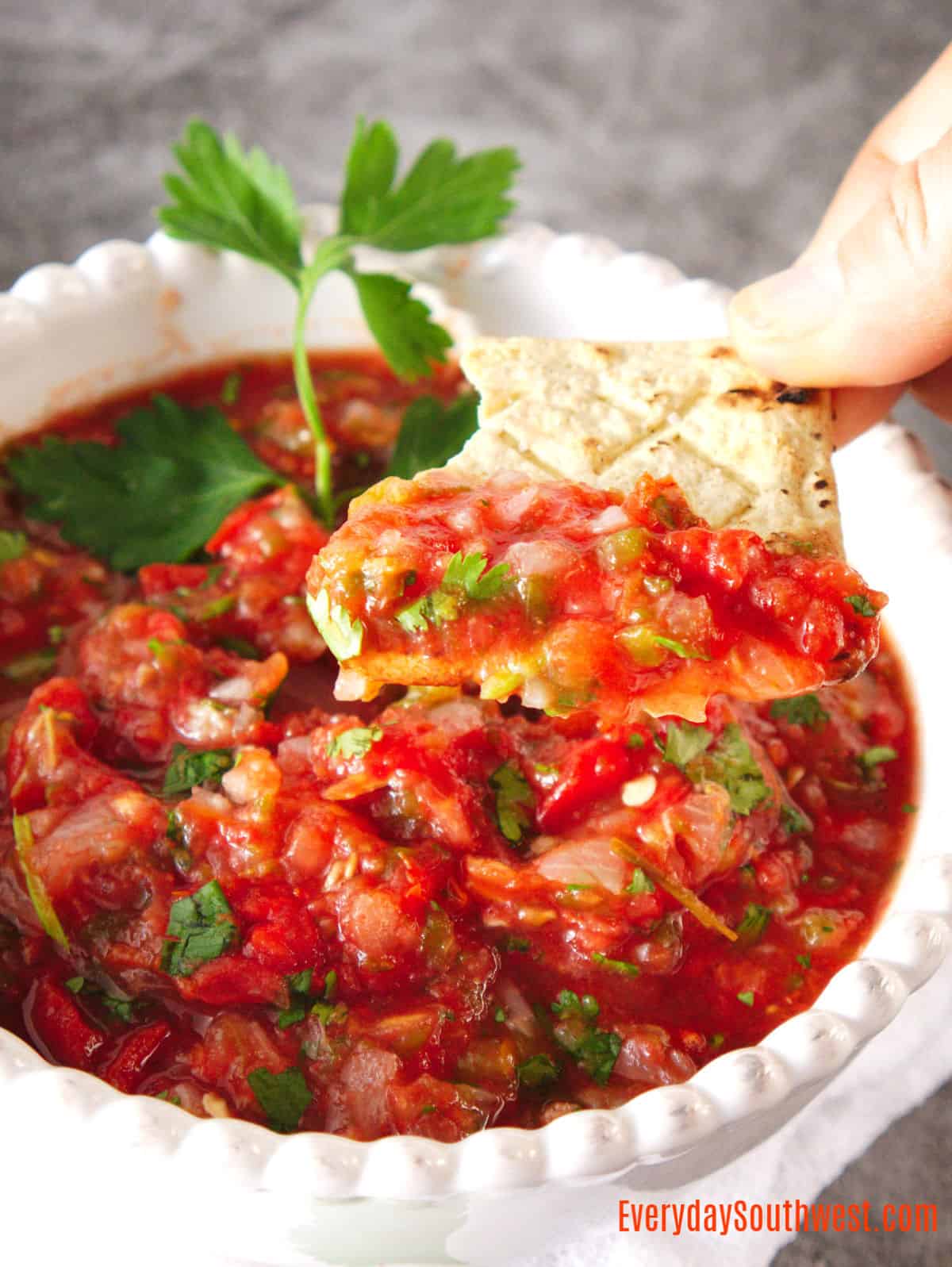 Classic Roasted Salsa Recipe (With Video and Step by Step)