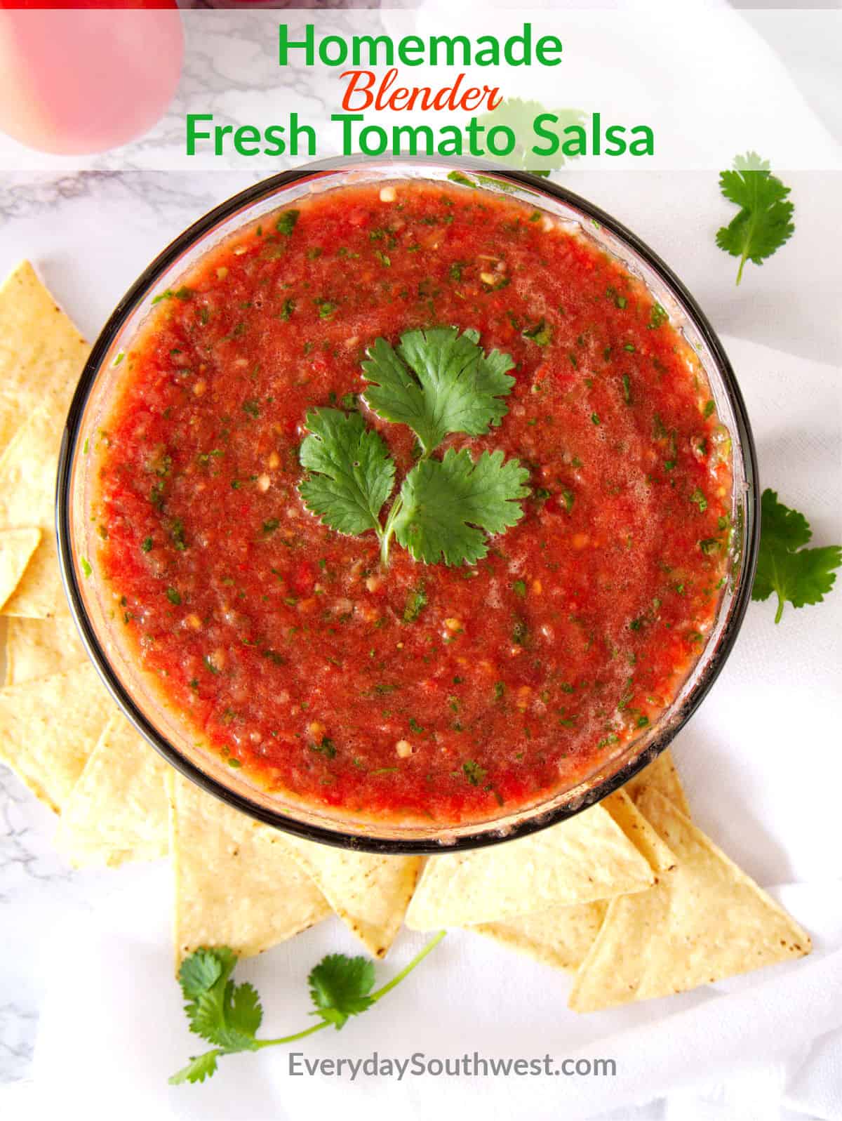 Easy Fresh Tomato Salsa in the Blender - Everyday Southwest